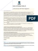 Fisiologia II - Clase 13 - Resumen de Funciones Secretoras Del Tubo Digestivo