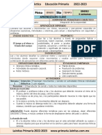 Enero - 5to Grado Educación Física (2022-2023)