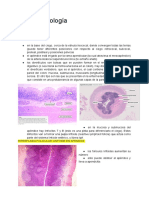 Taller 2 Patología