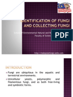 Identification of Fungi