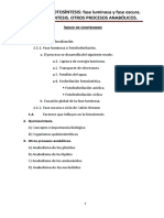 Tema 12. Fotosintesis Fase Lum y Oscura. Quimiosintesis. Otros Procesos Anabolicos. Biologia