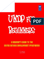 UNDP For Beginners