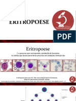 Eritropoese