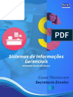 SEC - Sistemas de Informações Gerenciais (2022)