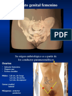 Aparato Genital Femenino y Ciclo Mentrual