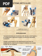 Sistema Articular