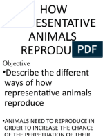 How Representative Animals Reproduce