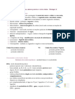 Ácidos Nucleicos, Síntese Proteica e Ciclo Celular - Biologia 11