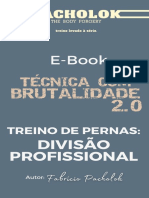 Treino de Pernas Divisão Profissional