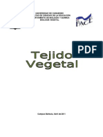 Tejido Vegetal Informe