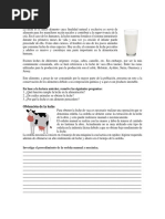 Concepto de Leche