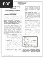 Informe Laboratorio Flujo Uniforme Variando N