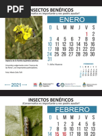 Almanaque Insectos Beneficos - PDF Versión 1