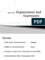 Ch18 Gene Expression PPT Notes