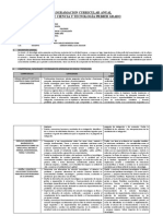 Programacion Cyt 1° Año 2022 I.E Palomar