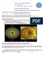 TM Numeros Irracionales I 4