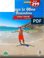 2D1N PLAYA LA MINA + ICA Hu