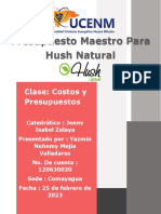 Presupuesto Maestro para Hush Natural: Clase: Costos y Presupuestos