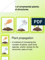 Floriunit3 2