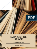 Rapport Du Stage