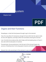 Sparrows Digestive System