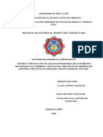 Gallinas Ponedoras Ultimo Informe1pdf