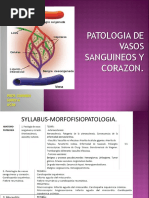 Patologia Cardiovascular-Clase Teorica-2do Parcial PDF