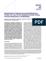 Requirement of Vesicle-Associated Membrane Protein 721 and 722 For Sustained Growth During Immune Responses in Arabidopsis