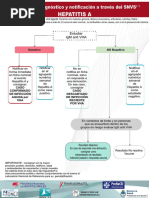 Algoritmo de Diagnostico Notificacion snvs2.0 Hepatitis A