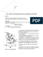 TP Examen Microscopique Des Microorganismes