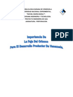 Copia de Trabajo de Perforacion La Faja Del Orinoco Isnel