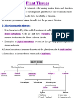 Pharmacognosy L03