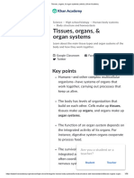 Tissues, Organs, & Organ Systems (Article) - Khan Academy