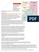 Resumen-RMP-2do GOSCE