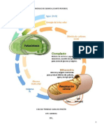 MODULO DE QUIMICA Cuarto P PDF