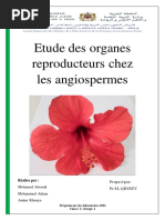 TP3 Eude Des Organes Reproducteurs Chez Les Angiospermes - Copie