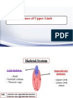 Revison For Upper Limb