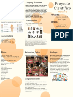 Triptico Proyecto 2 Cientifico