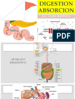 3 Digestión y Absorción