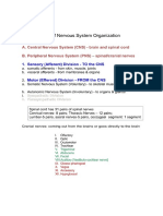 Macroglia+Neuron ASG 16-01-2023 PDF