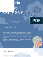 Anatomia y Fisiologia Del SNC y SNP