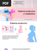 Embarazo Sistema Endocrino