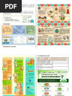 Elaboramos Nuestro Folleto Con Recomendaciones y Propuestas para Promover El Ecoturismo Que Garantice La Conservación de Nuestra Biodiversidad