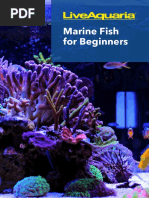 Marine Fish For Beginners Ebook