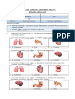 Evaluación Diagnostica Ciencias Naturales Tercer Año