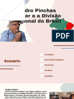 Pedro Pinchas Geiger e A Divisão Regional Do Brasil PDF