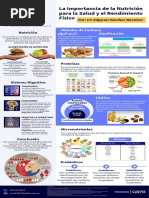 Infografía - Importancia de La Nutrición para La Salud y El Rendimiento Físico