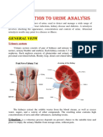 Introduction To Urine Analysis: General Veiw