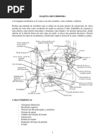 MAQUINAnRECUBRIDORA 23632cf7762b599 PDF