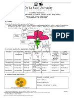 GenBioL Mod 9 Flower PDF